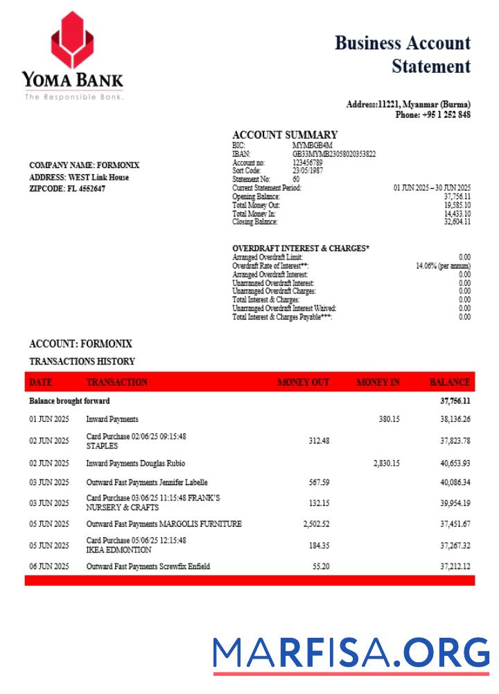 Realistic Yoma organization checking account statement Word and PDF template (1)
